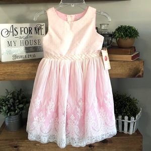 Sweet Heart Rose Dress